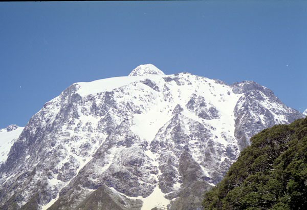 NZ-25-0002
