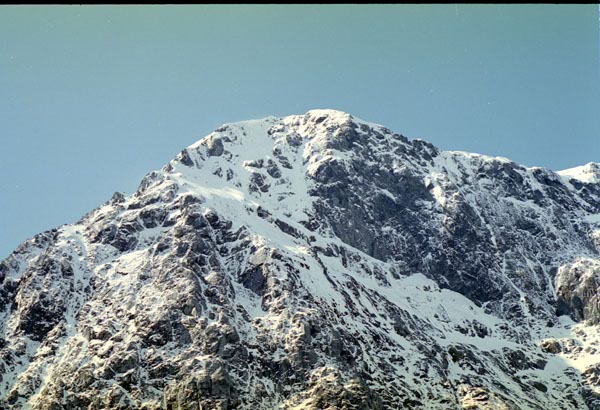 NZ-25-0003