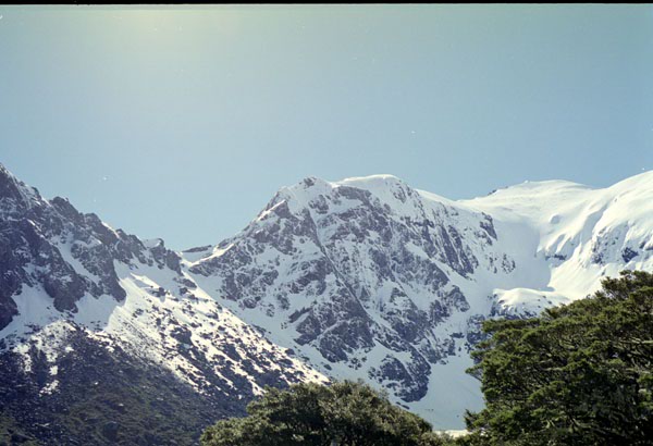 NZ-25-0004