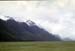 NZ-20-0021