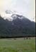 NZ-20-0026