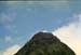 NZ-20-0037