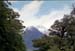 NZ-21-0002