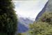 NZ-21-0006