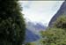 NZ-21-0007