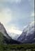 NZ-21-0010