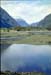 NZ-21-0018