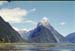 NZ-21-0019