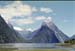 NZ-21-0024