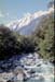 NZ-24-0020