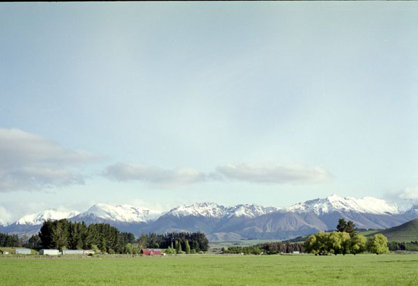 NZ-25-0005