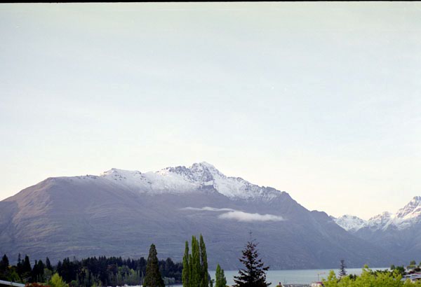 NZ-25-0010