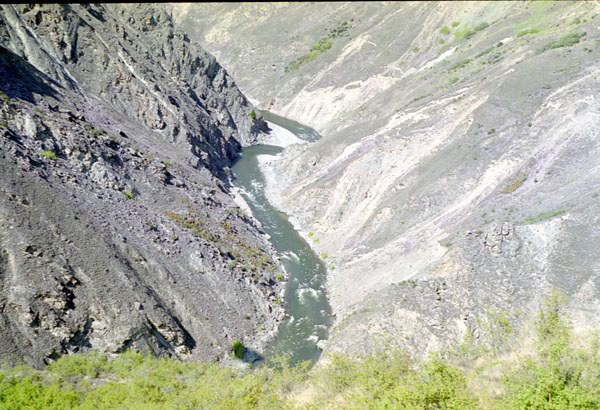 NZ-25-0014