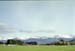 NZ-25-0005