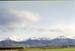NZ-25-0006