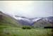 NZ-25-0007