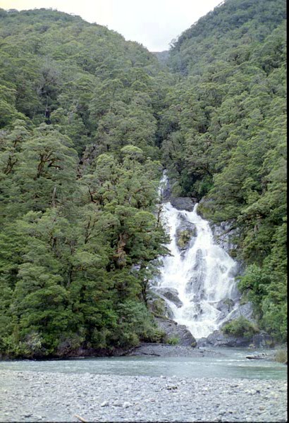 NZ-25-0015