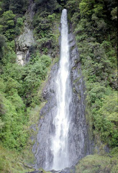 NZ-25-0018