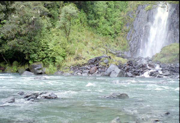 NZ-25-0019