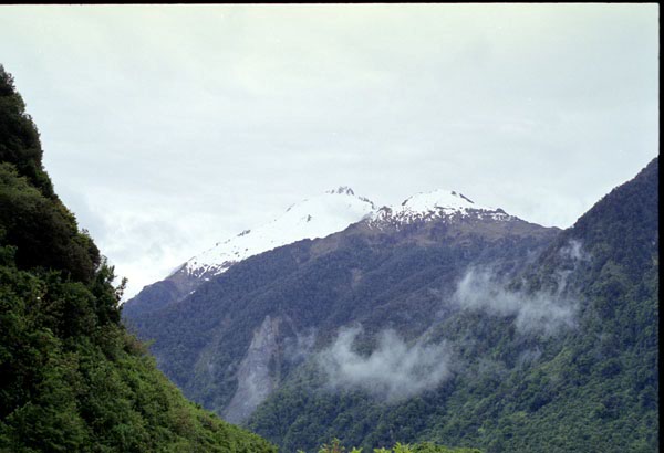 NZ-25-0023