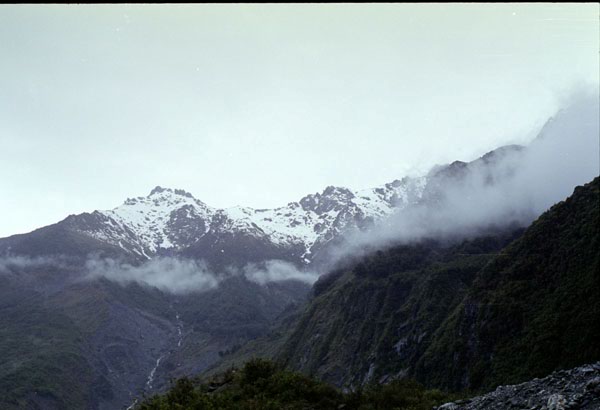 NZ-25-0024