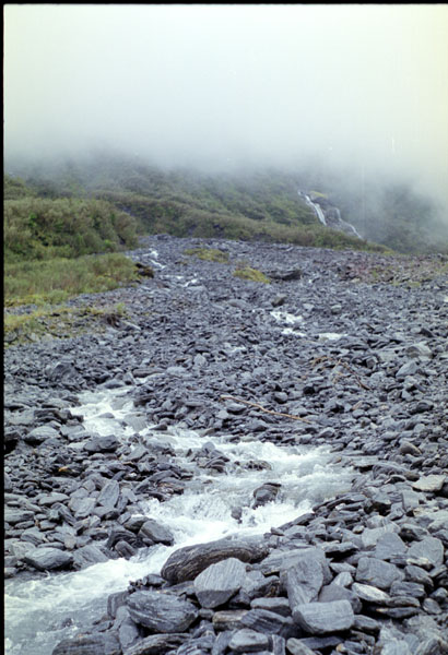 NZ-28-0002