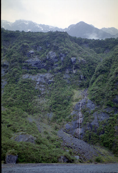 NZ-28-0010