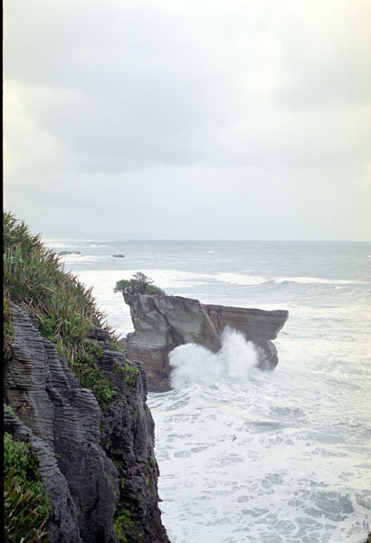 NZ-28-0011