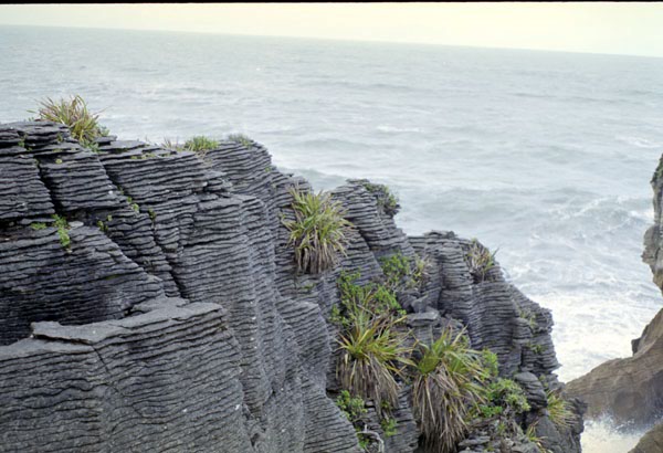 NZ-28-0012