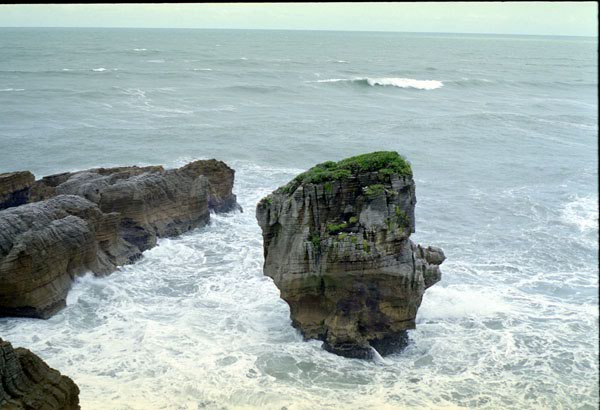 NZ-28-0015