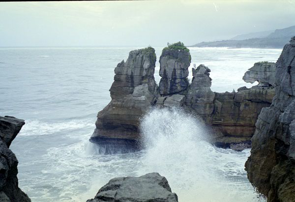 NZ-28-0017