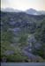 NZ-28-0010