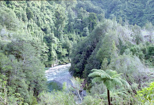 NZ-02-0020