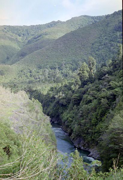 NZ-02-0021