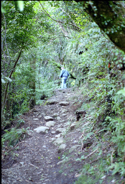 NZ-03-0004