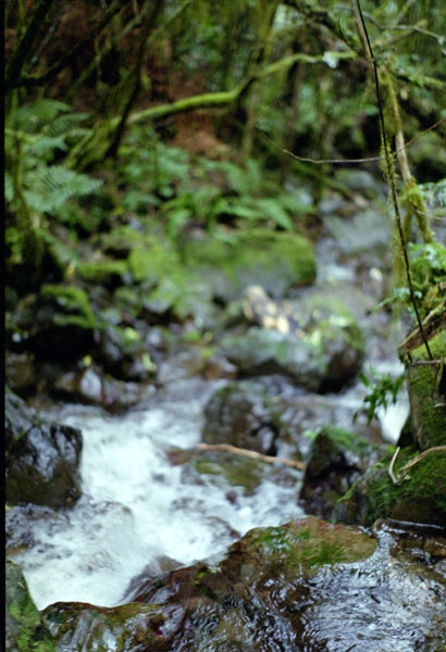 NZ-03-0016