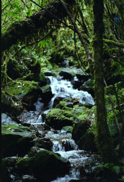 NZ-03-0021