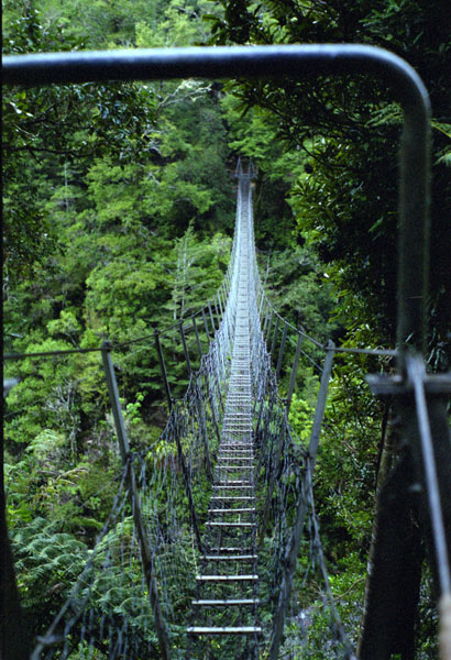 NZ-03-0022