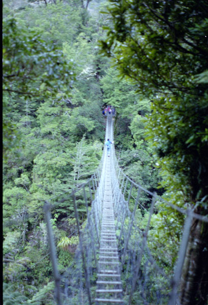 NZ-03-0024