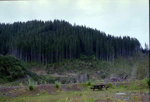 NZ-04-0001