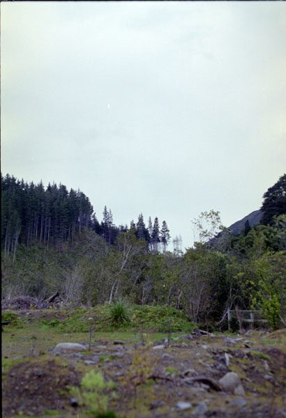 NZ-04-0002