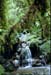 NZ-03-0013