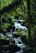 NZ-03-0021