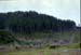 NZ-04-0001