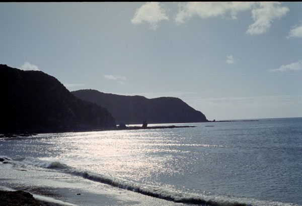 NZ-04-0007