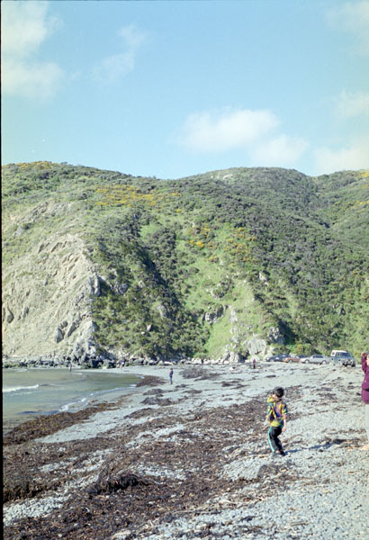 NZ-04-0008