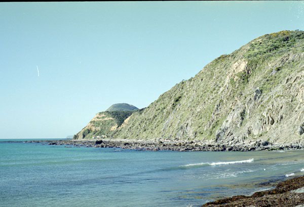NZ-04-0009