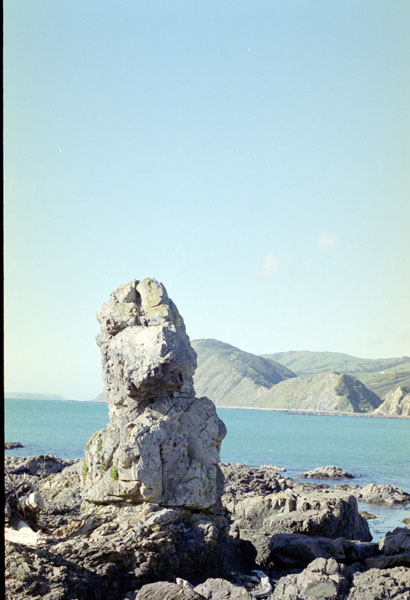 NZ-04-0012