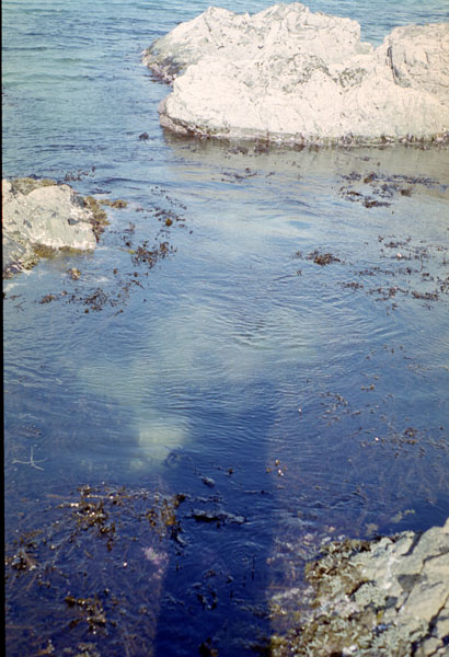 NZ-04-0013