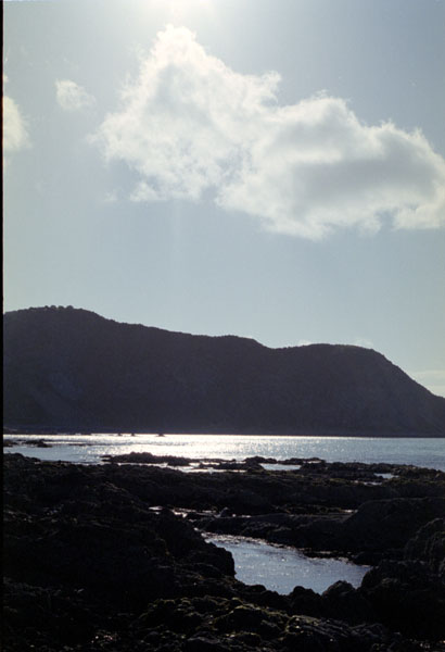 NZ-04-0014